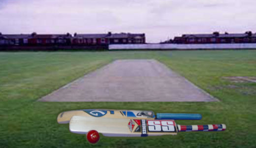 過去記事｜「クリケット」な振舞い