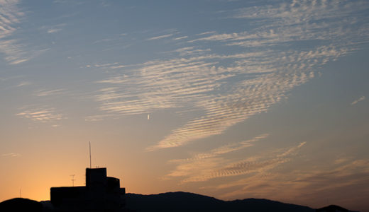 過去記事｜戯曲：マクベスとサロメ